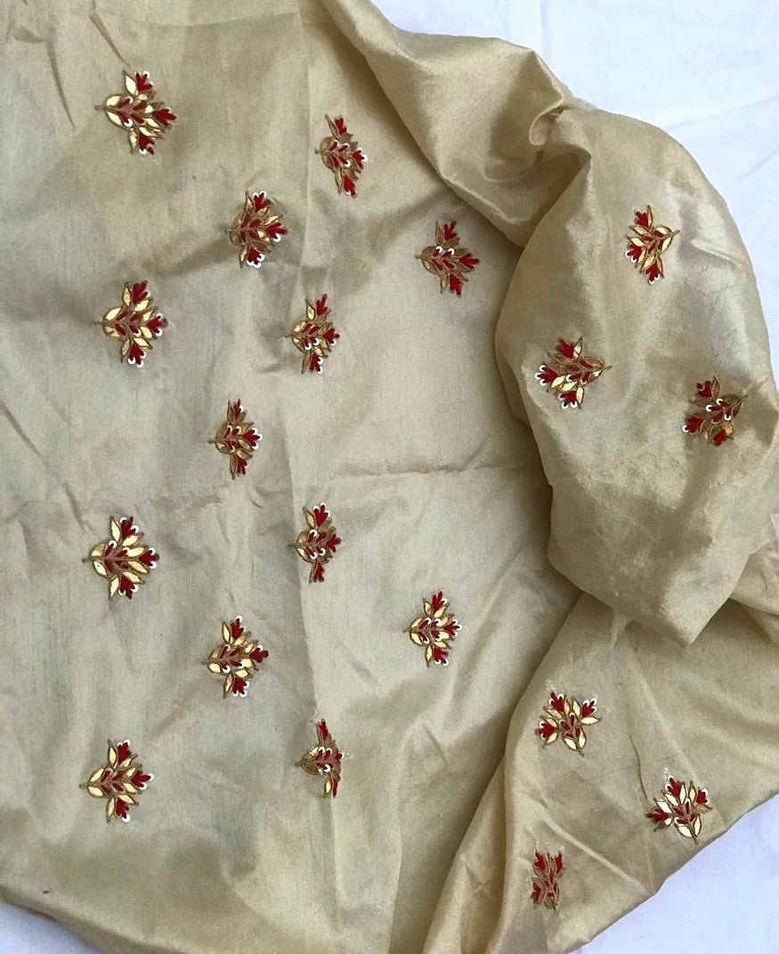 Golden beige Gottapatti blouse