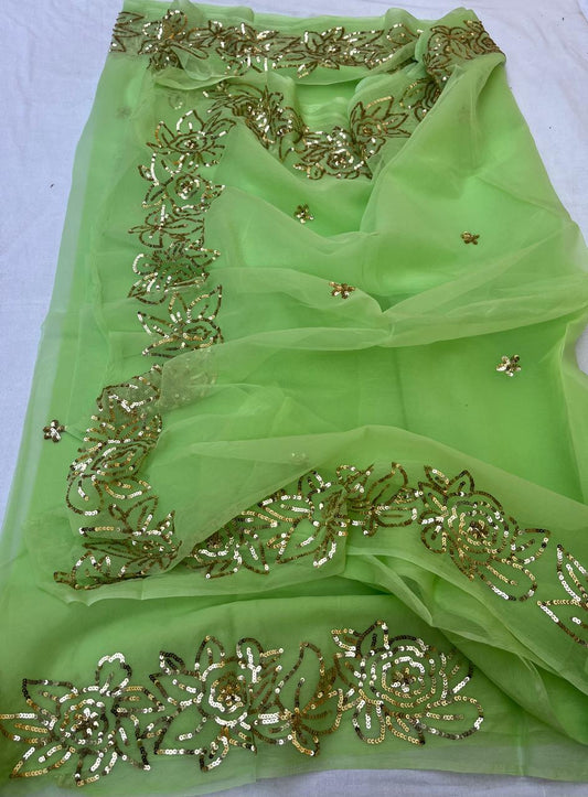 Green sequins border saree