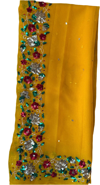 Yellow sequins border saree
