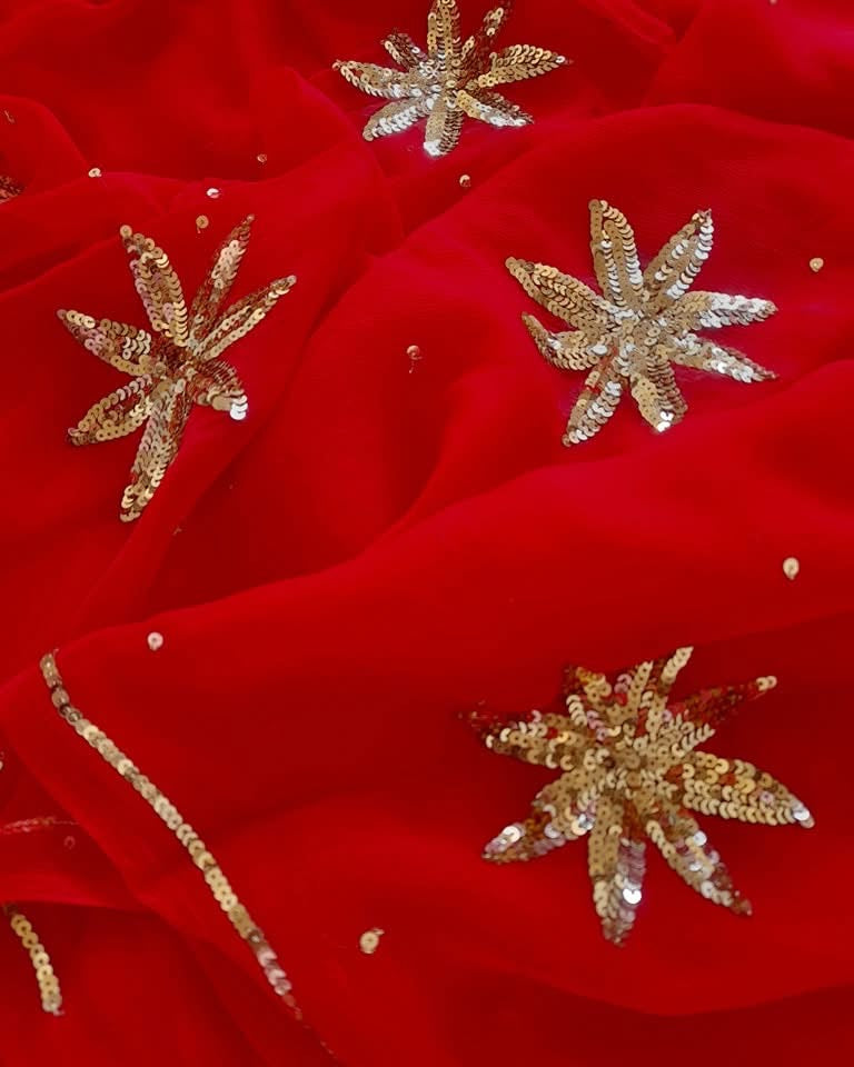 Red sequins buta saree