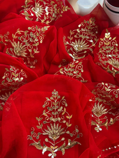 Raanjha chiffon saree