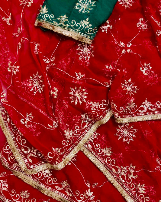 Red Aari Jaal saree