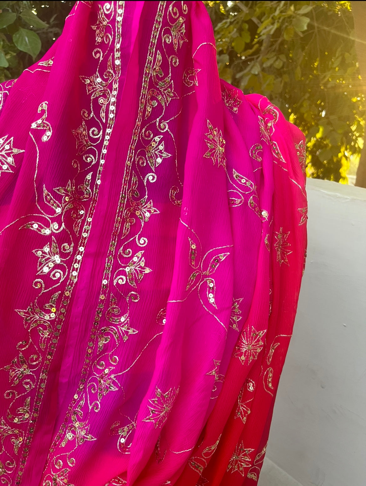 Red Rani Shaded Aari Sequins Border Jaal Miraya Chiffon Sarees