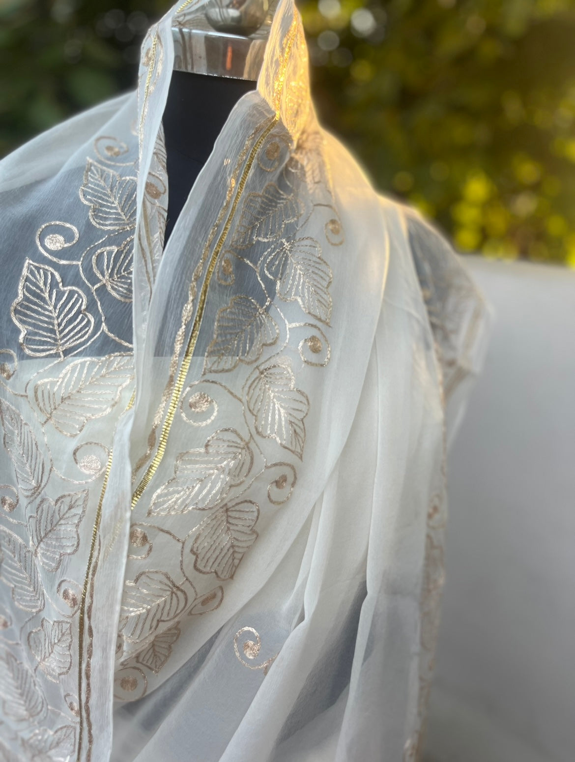 Cream Aari Border Miraya Chiffon Sarees