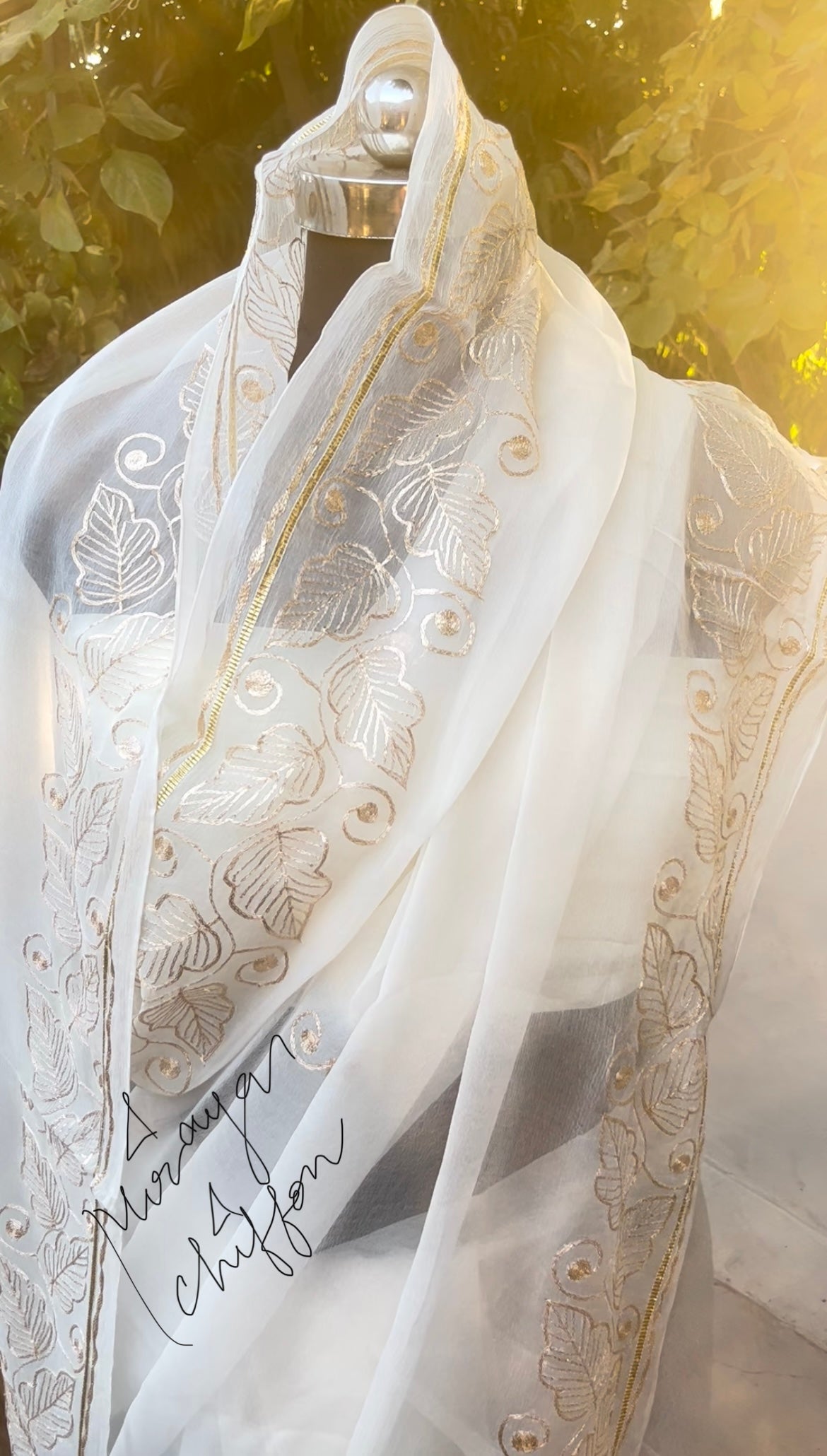 Cream Aari Border Miraya Chiffon Sarees