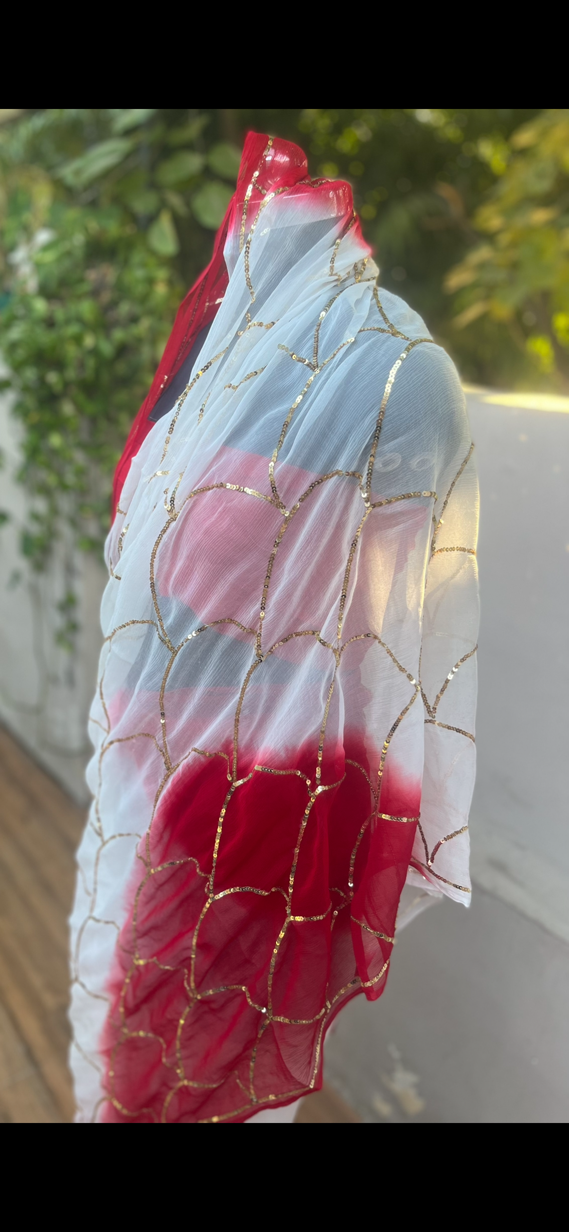 Faaganiya Sequins Jaal Miraya Chiffon Sarees