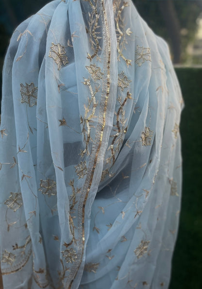 Powder Blue Aari Zardogi Jaal Miraya Chiffon Sarees